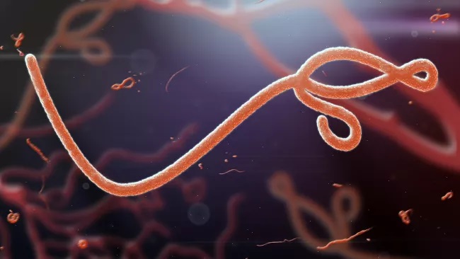 virus Ebola
